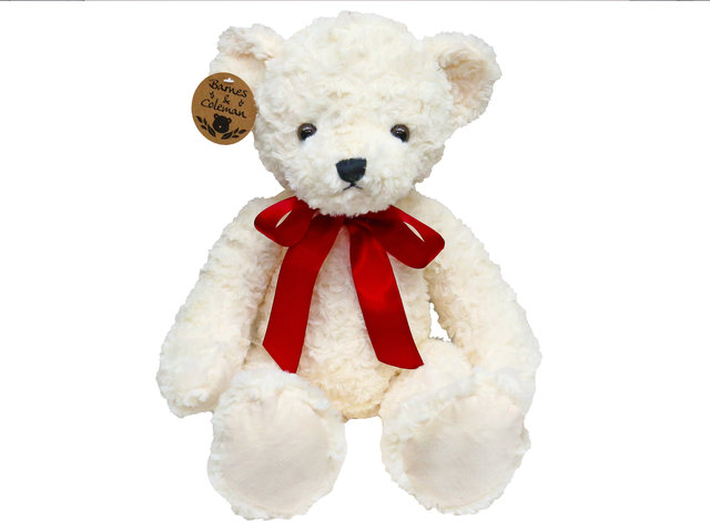 Teddy Bear n Doll - Barnes & Coleman Classic White Teddy Bear - L98576 Photo